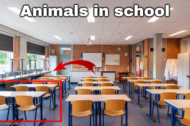 Animals in school | made w/ Imgflip meme maker