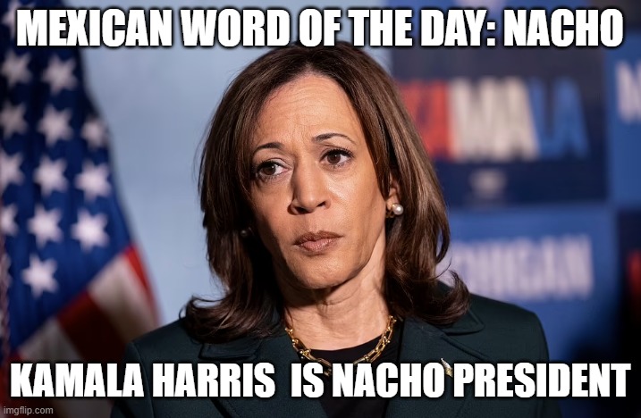 kamala | MEXICAN WORD OF THE DAY: NACHO; KAMALA HARRIS  IS NACHO PRESIDENT | image tagged in 2024,kamala harris | made w/ Imgflip meme maker