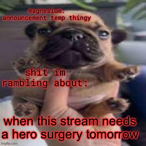 pug temp | when this stream needs a hero surgery tomorrow | image tagged in pug temp | made w/ Imgflip meme maker