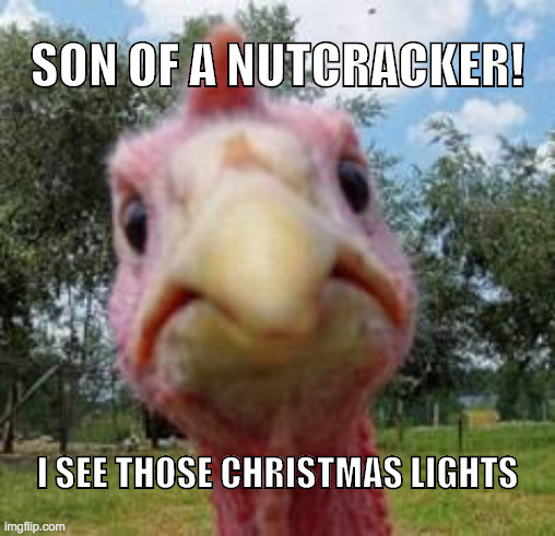 Christmas before Thanksgiving | SON OF A NUTCRACKER! I SEE THOSE CHRISTMAS LIGHTS | image tagged in turkey,christmas decorations,thanksgiving | made w/ Imgflip meme maker