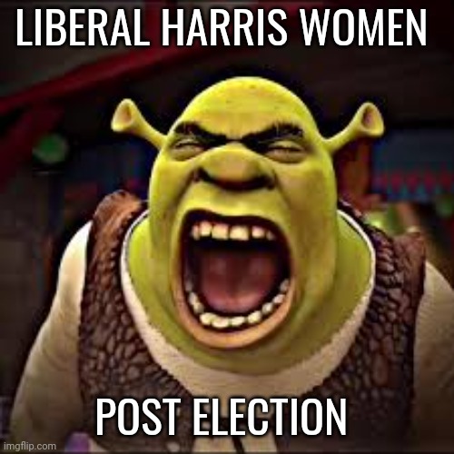 liberal women memes | LIBERAL HARRIS WOMEN; POST ELECTION | image tagged in liberals | made w/ Imgflip meme maker