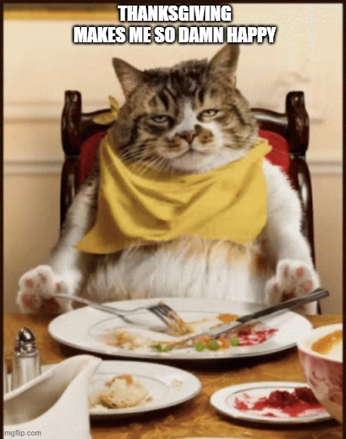 memes by Brad - Thanksgiving makes my cat so happy. Not. | THANKSGIVING MAKES ME SO DAMN HAPPY | image tagged in funny,cats,kittens,thanksgiving,happy cat,humor | made w/ Imgflip meme maker