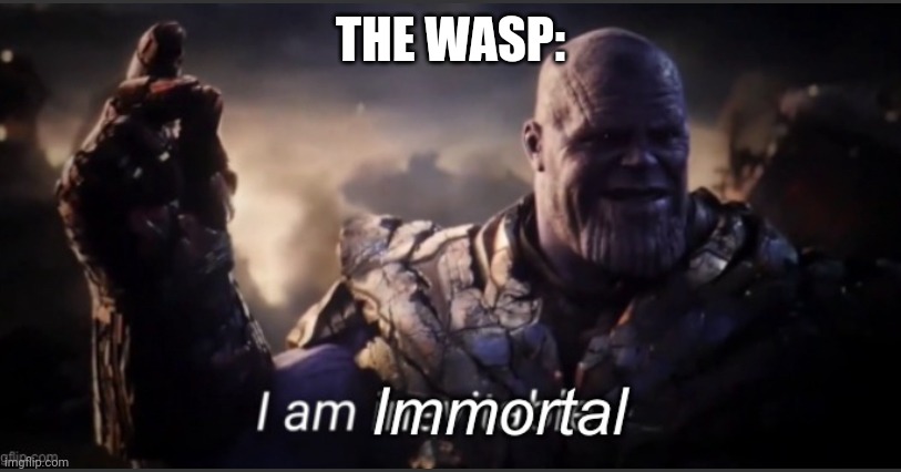 I am immortal | THE WASP: | image tagged in i am immortal | made w/ Imgflip meme maker