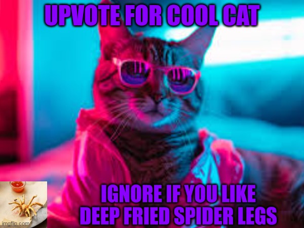 Raise your hand if you like deep fried spiders | UPVOTE FOR COOL CAT; IGNORE IF YOU LIKE DEEP FRIED SPIDER LEGS | image tagged in cats,cute,cool cat,funny,spider,upvote if you agree | made w/ Imgflip meme maker