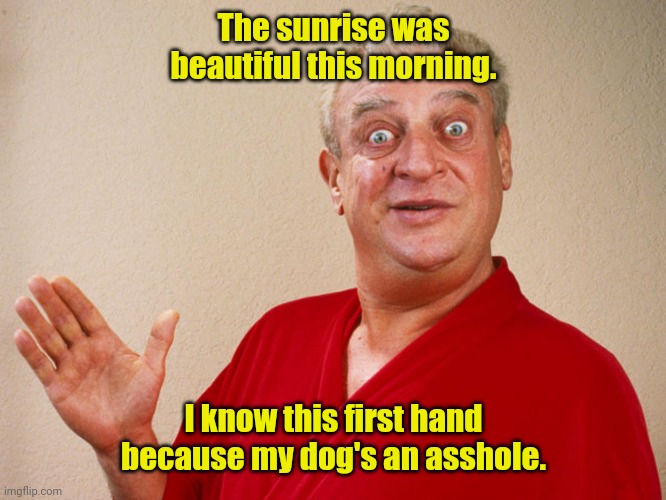 Good morning. | The sunrise was beautiful this morning. I know this first hand because my dog's an asshole. | image tagged in rodney dangerfield,funny,idontlikewalkingdogs | made w/ Imgflip meme maker