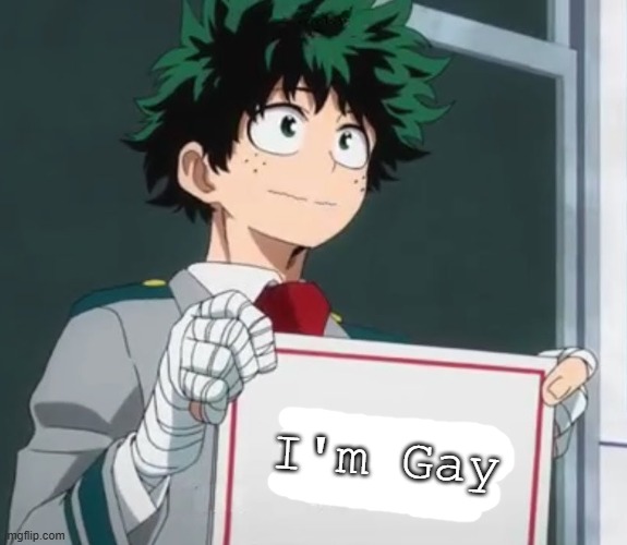 how BKDK shippers make memes (yes I am a BKDK shipper) | I'm Gay | image tagged in deku holding a sign,gay,mha,deku | made w/ Imgflip meme maker