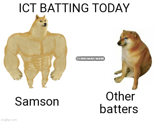 Buff Doge vs. Cheems Meme | ICT BATTING TODAY; @LORDSHARDTHAKUR; Other batters; Samson | image tagged in memes,buff doge vs cheems | made w/ Imgflip meme maker