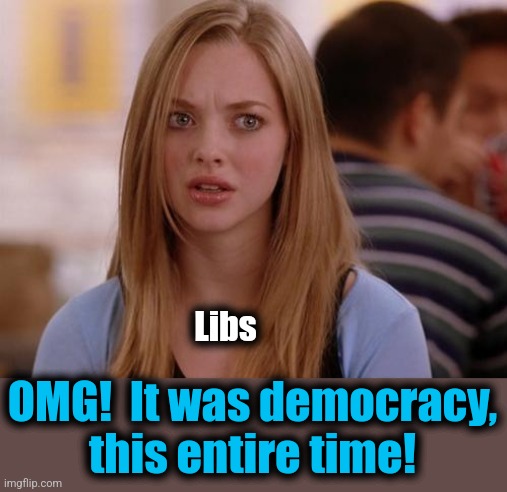 OMG libbie | Libs; OMG!  It was democracy,
this entire time! | image tagged in memes,omg karen,democrats,election 2024,donald trump,democracy | made w/ Imgflip meme maker