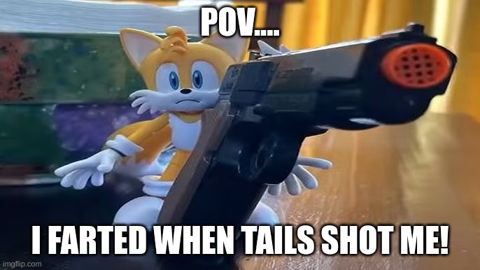 tails with gun | POV.... I FARTED WHEN TAILS SHOT ME! | image tagged in tails with gun | made w/ Imgflip meme maker