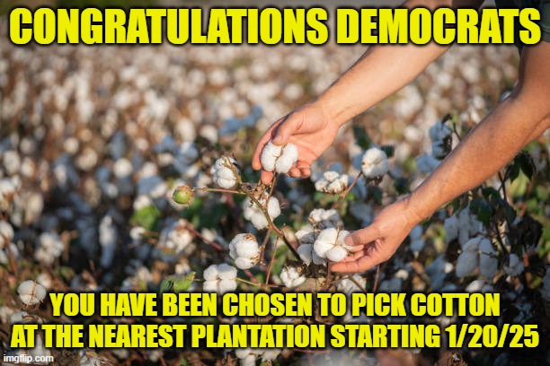 Racist messages that were sent out (modified) | CONGRATULATIONS DEMOCRATS; YOU HAVE BEEN CHOSEN TO PICK COTTON AT THE NEAREST PLANTATION STARTING 1/20/25 | image tagged in racist,bold move cotton,slavery,racism,democrats | made w/ Imgflip meme maker