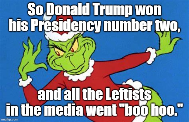 "The View" to be sure. | So Donald Trump won his Presidency number two, and all the Leftists in the media went "boo hoo." | image tagged in the grinch,grinch,donald trump | made w/ Imgflip meme maker