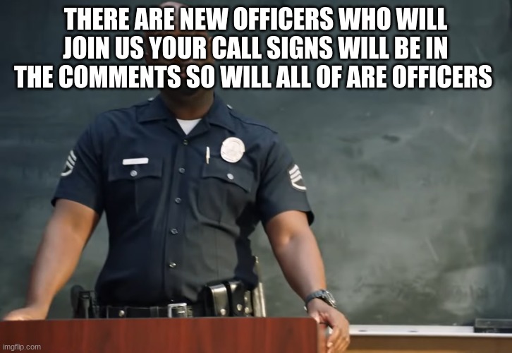 Sargent gray | THERE ARE NEW OFFICERS WHO WILL JOIN US YOUR CALL SIGNS WILL BE IN THE COMMENTS SO WILL ALL OF ARE OFFICERS | image tagged in sargent gray | made w/ Imgflip meme maker