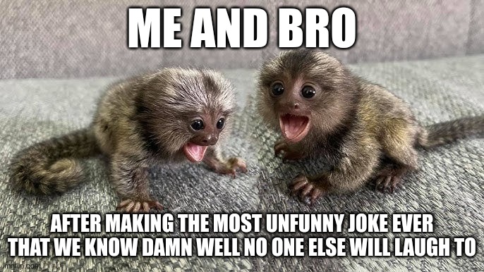 Marmoset Unfunny Joke | ME AND BRO; AFTER MAKING THE MOST UNFUNNY JOKE EVER THAT WE KNOW DAMN WELL NO ONE ELSE WILL LAUGH TO | image tagged in monkey,cute,unfunny | made w/ Imgflip meme maker