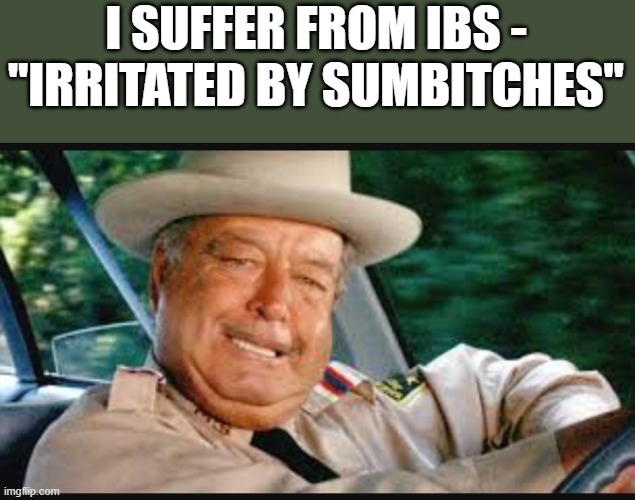 I Suffer From IBS | I SUFFER FROM IBS - "IRRITATED BY SUMBITCHES" | image tagged in ibs,suffer,buford t justice,funny,memes,irritated | made w/ Imgflip meme maker