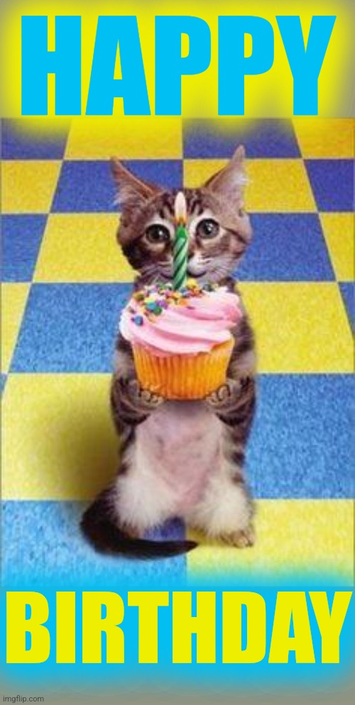 Happy Birthday Cat | HAPPY BIRTHDAY | image tagged in happy birthday cat | made w/ Imgflip meme maker