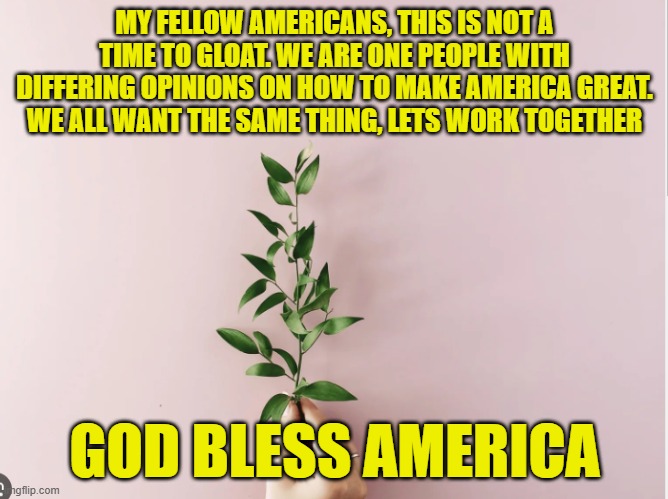 Olive Branch | MY FELLOW AMERICANS, THIS IS NOT A TIME TO GLOAT. WE ARE ONE PEOPLE WITH DIFFERING OPINIONS ON HOW TO MAKE AMERICA GREAT. WE ALL WANT THE SAME THING, LETS WORK TOGETHER; GOD BLESS AMERICA | image tagged in americans,unity,god bless america,make america great again,maga,division | made w/ Imgflip meme maker