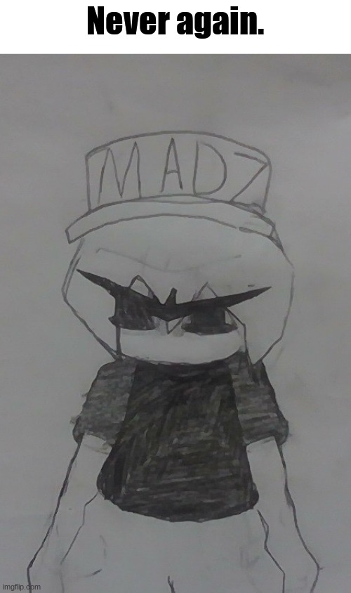 Madnez stare | Never again. | image tagged in madnez stare | made w/ Imgflip meme maker