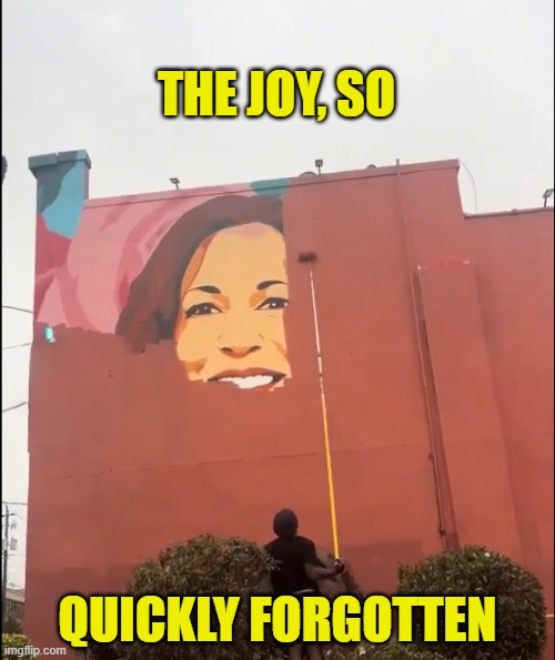 Joy Be Gone | THE JOY, SO; QUICKLY FORGOTTEN | image tagged in election,tds,trump derangement syndrome,kamala harris,maga,joy | made w/ Imgflip meme maker