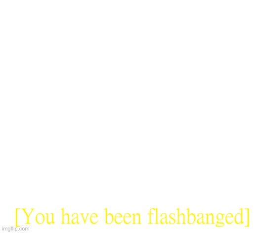 you have been flashbanged | image tagged in you have been flashbanged | made w/ Imgflip meme maker