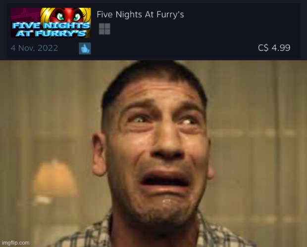 This is an actual steam game | image tagged in punisher no no no no no | made w/ Imgflip meme maker