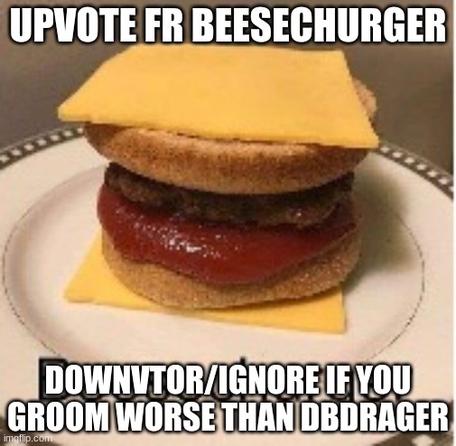 Beesechurger | UPVOTE FR BEESECHURGER; DOWNVTOR/IGNORE IF YOU GROOM WORSE THAN DBDRAGER | image tagged in beesechurger | made w/ Imgflip meme maker