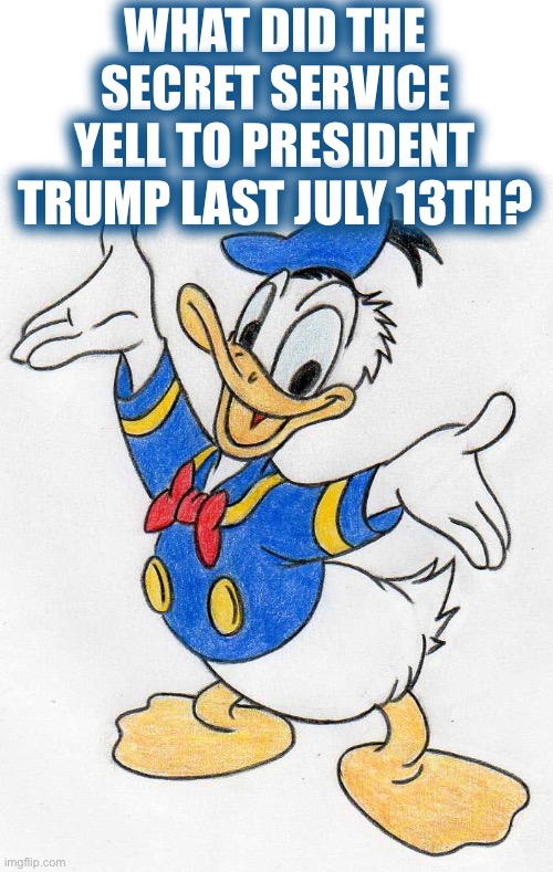 “Donald Duck!!” | WHAT DID THE SECRET SERVICE YELL TO PRESIDENT TRUMP LAST JULY 13TH? | image tagged in daffy,disco,what the,baked,sitting,pure | made w/ Imgflip meme maker