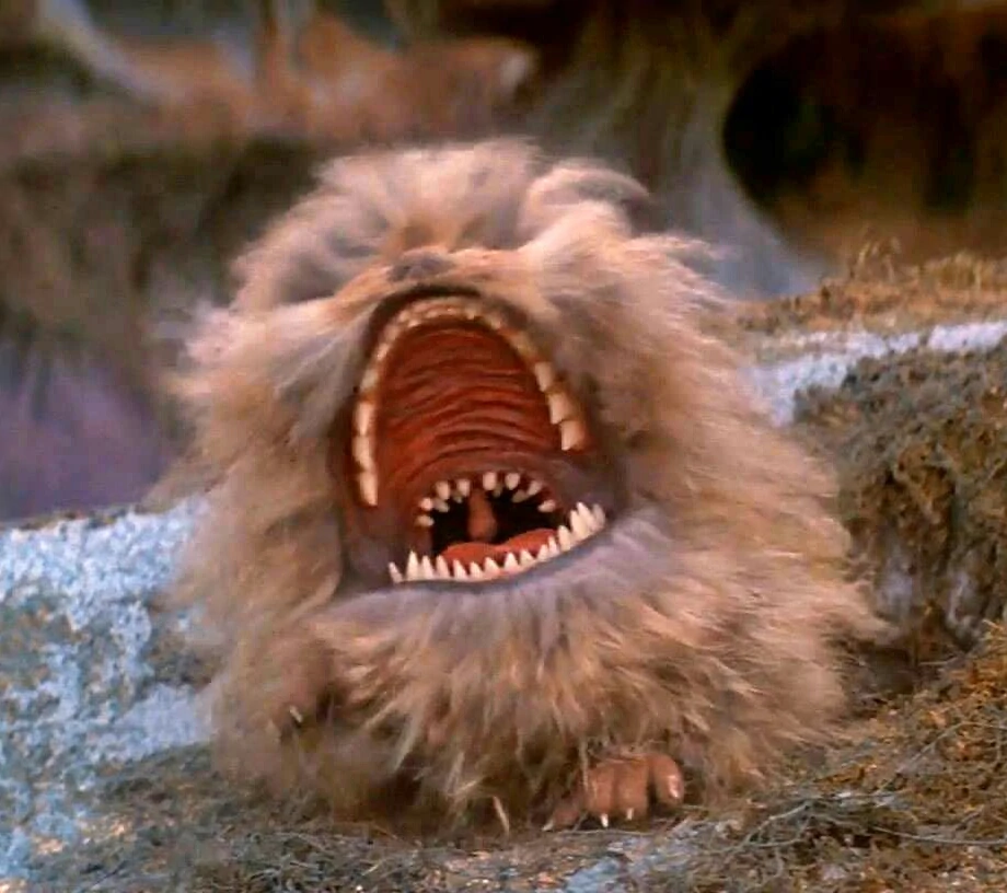 Fizzgig tantrum Blank Meme Template