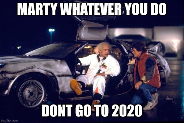 2020 | MARTY WHATEVER YOU DO; DONT GO TO 2020 | image tagged in back to the future | made w/ Imgflip meme maker