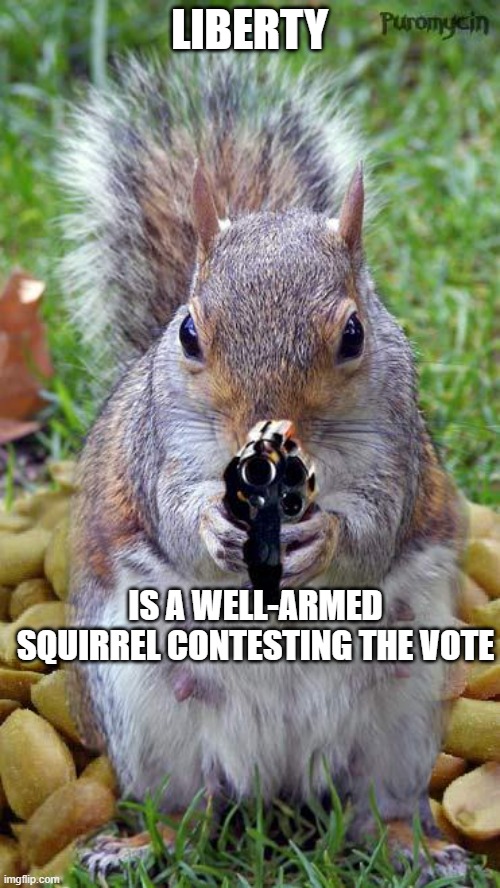 funny squirrels with guns (5) | LIBERTY IS A WELL-ARMED SQUIRREL CONTESTING THE VOTE | image tagged in funny squirrels with guns 5 | made w/ Imgflip meme maker