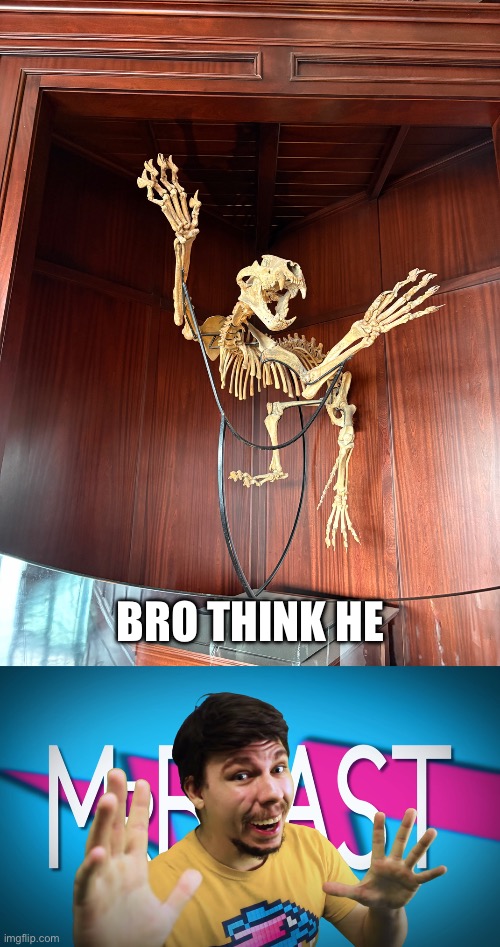 BRO THINK HE | image tagged in fake mrbeast | made w/ Imgflip meme maker