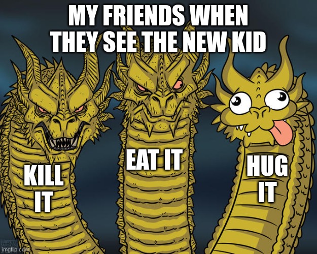 Three-headed Dragon | MY FRIENDS WHEN THEY SEE THE NEW KID; EAT IT; HUG IT; KILL IT | image tagged in three-headed dragon | made w/ Imgflip meme maker