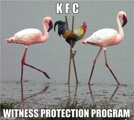 You Down With WPP... | image tagged in protection,chicken,funny,funny meme | made w/ Imgflip meme maker