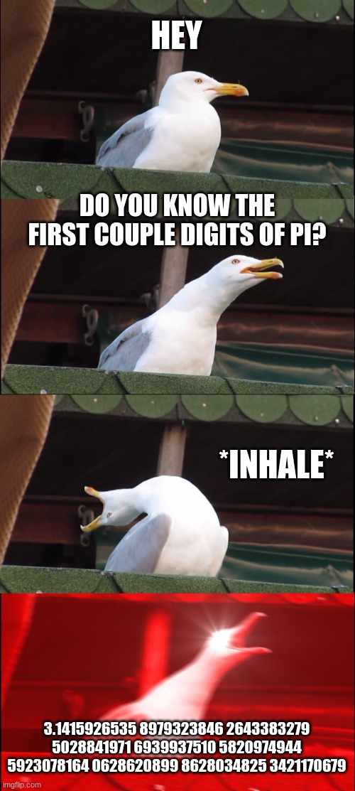 Inhaling Seagull | HEY; DO YOU KNOW THE FIRST COUPLE DIGITS OF PI? *INHALE*; 3.1415926535 8979323846 2643383279 5028841971 6939937510 5820974944 5923078164 0628620899 8628034825 3421170679 | image tagged in memes,inhaling seagull | made w/ Imgflip meme maker