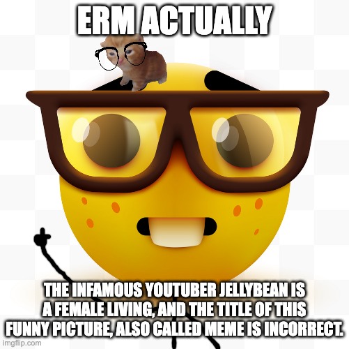 Nerd emoji | ERM ACTUALLY THE INFAMOUS YOUTUBER JELLYBEAN IS A FEMALE LIVING, AND THE TITLE OF THIS FUNNY PICTURE, ALSO CALLED MEME IS INCORRECT. | image tagged in nerd emoji | made w/ Imgflip meme maker