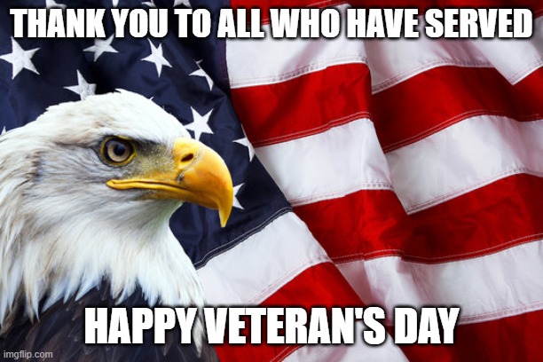 Happy Veteran's Day | THANK YOU TO ALL WHO HAVE SERVED; HAPPY VETERAN'S DAY | image tagged in american eagle with flag,veteran's day,american flag,veterans,thank you for your service,usa flag | made w/ Imgflip meme maker