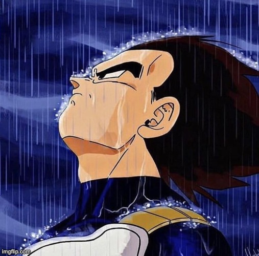 Vegeta in the rain | image tagged in vegeta in the rain | made w/ Imgflip meme maker