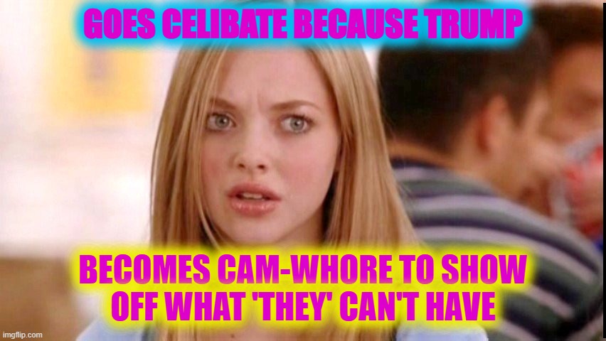 Dumb Blonde | GOES CELIBATE BECAUSE TRUMP BECOMES CAM-WHORE TO SHOW OFF WHAT 'THEY' CAN'T HAVE | image tagged in dumb blonde | made w/ Imgflip meme maker