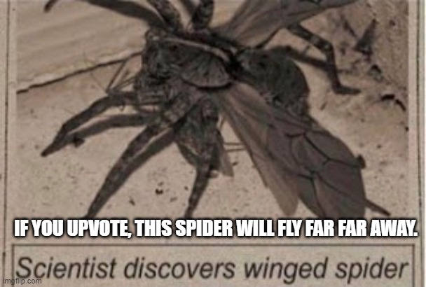 Not an upvote beggar. Just upvote if you are terrified of spiders. Or even remotely scared. | IF YOU UPVOTE, THIS SPIDER WILL FLY FAR FAR AWAY. | image tagged in spider | made w/ Imgflip meme maker