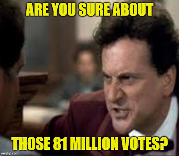 Cross-Examining the Elections | ARE YOU SURE ABOUT; THOSE 81 MILLION VOTES? | image tagged in my cousin vinny | made w/ Imgflip meme maker