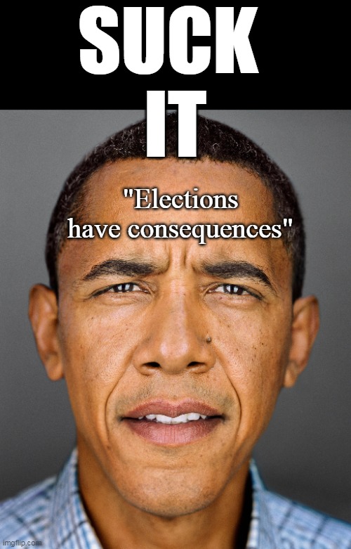 The amazing negro's famous line | SUCK 
IT; "Elections have consequences" | image tagged in obama suck it meme | made w/ Imgflip meme maker