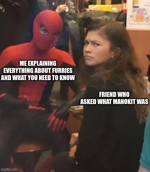 spidey´s guide to furries | ME EXPLAINING EVERYTHING ABOUT FURRIES AND WHAT YOU NEED TO KNOW; FRIEND WHO ASKED WHAT MANOKIT WAS | image tagged in spider man explaining | made w/ Imgflip meme maker