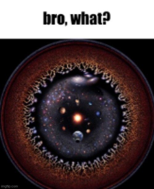 bro, what? | image tagged in bro what | made w/ Imgflip meme maker