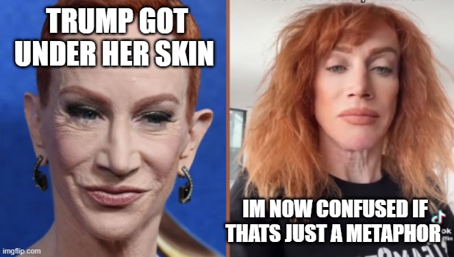 TRUMP GOT UNDER HER SKIN; IM NOW CONFUSED IF THATS JUST A METAPHOR | made w/ Imgflip meme maker