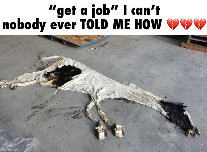 Deflated horse | “get a job” I can’t nobody ever TOLD ME HOW 💔💔💔 | image tagged in deflated horse | made w/ Imgflip meme maker