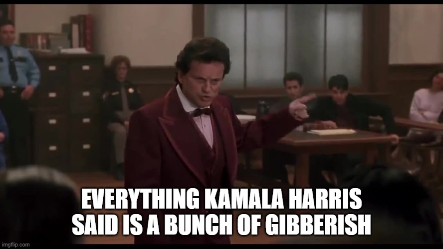 My Cousin Vinnie Everything That Guy Just Said is Bullshit | EVERYTHING KAMALA HARRIS SAID IS A BUNCH OF GIBBERISH | image tagged in my cousin vinnie everything that guy just said is bullshit | made w/ Imgflip meme maker