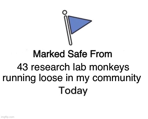 Lab Monkey Free | 43 research lab monkeys running loose in my community | image tagged in memes,marked safe from | made w/ Imgflip meme maker