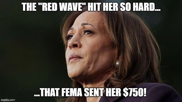 Red Wave | image tagged in kamala harris | made w/ Imgflip meme maker