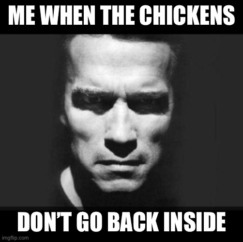 Arnold has a difficult time putting his chickens to bed | ME WHEN THE CHICKENS; DON’T GO BACK INSIDE | image tagged in dark arnold,chicken | made w/ Imgflip meme maker