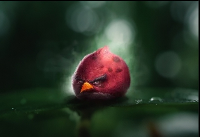 Realistic angry birds Blank Meme Template