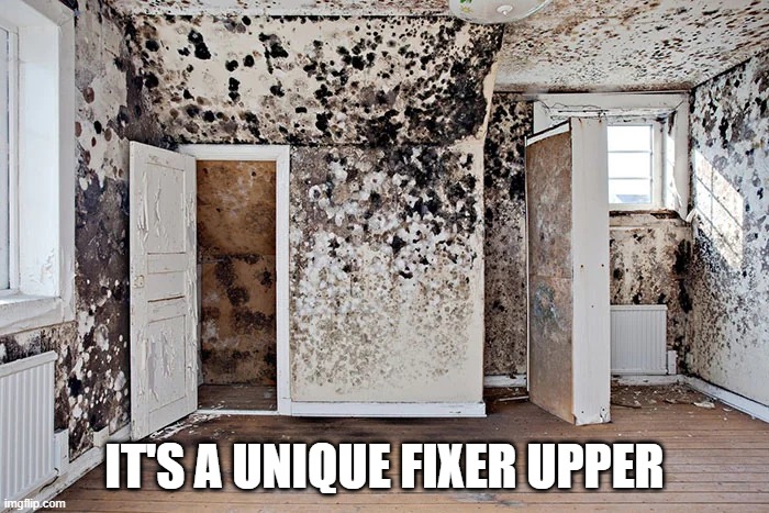 That Room Though | IT'S A UNIQUE FIXER UPPER | image tagged in cursed image | made w/ Imgflip meme maker